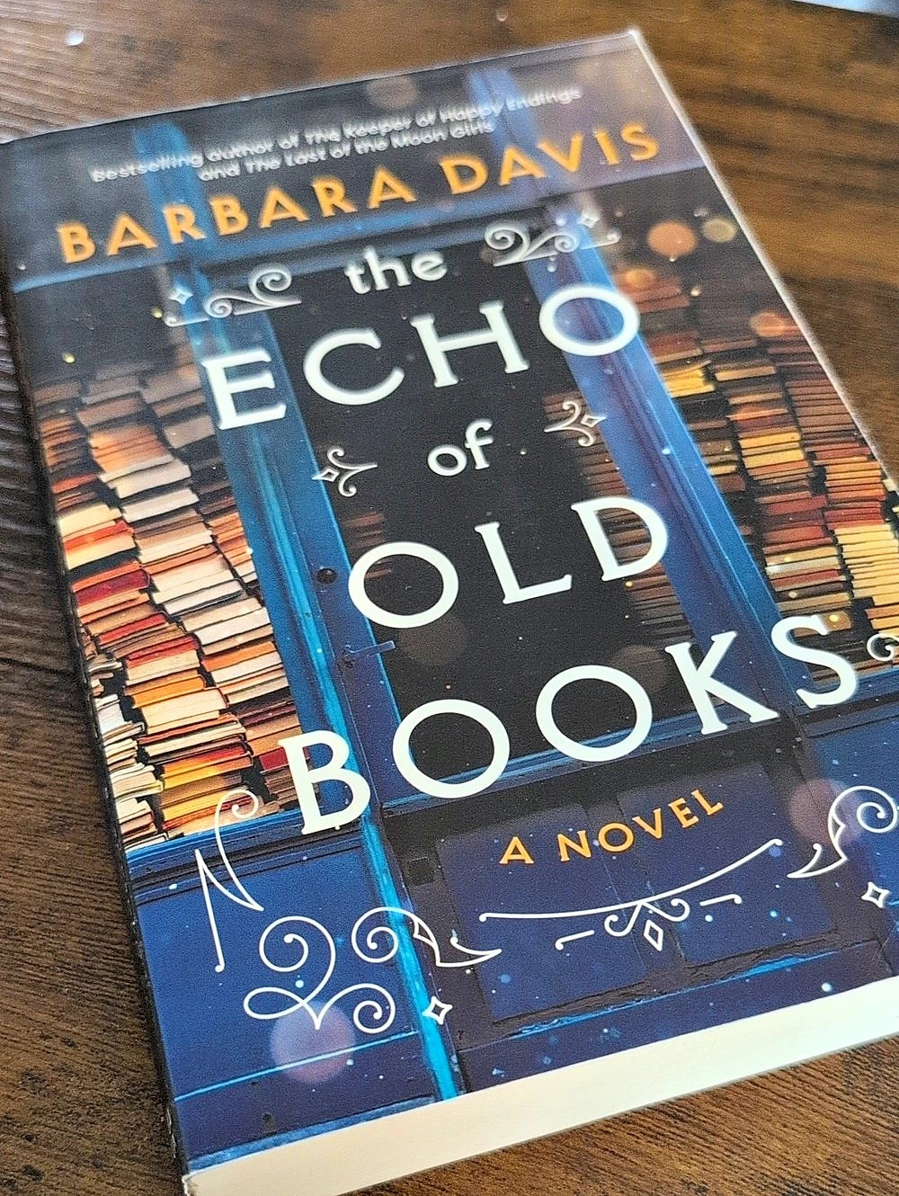 The Echo of Old Books Paperback Novel in Blue & Black